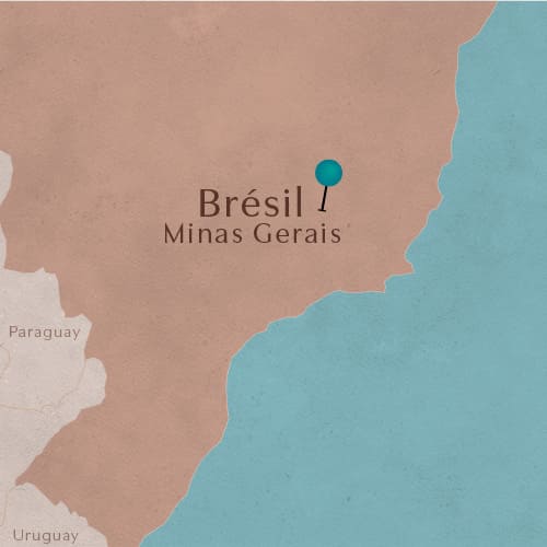 Région de Minas Gerais au Brésil