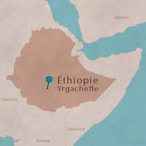 Région Yrgacheffe en Éthiopie