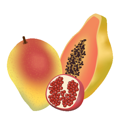 Illustration de fruits tropicaux - Plaine d'Arômes